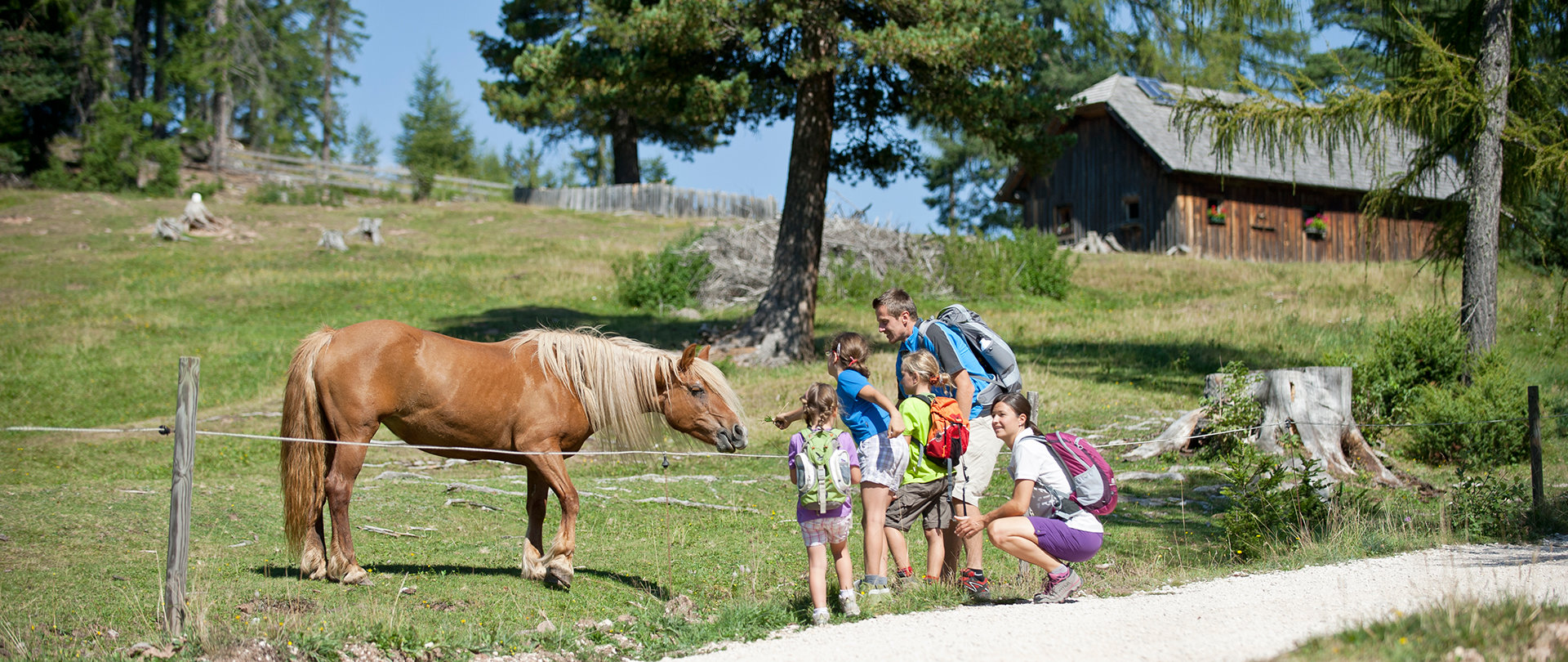 Summer holidays in the Dolomites...