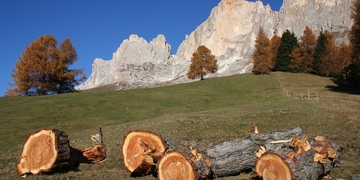 Settimana verde a Nova Levante